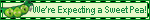 expecting-2.gif image by vikasmith