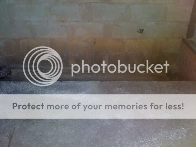 Aviarybudgies230.jpg?t=1267004343