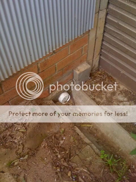 CopyofAviarybudgies233.jpg?t=1267003977