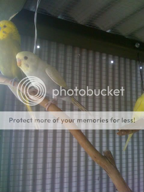 ourpics504.jpg?t=1262916244