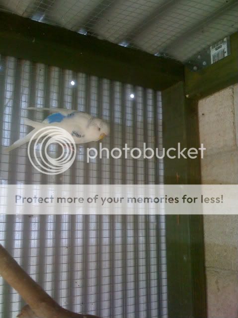 ourpics520-1.jpg?t=1259470869