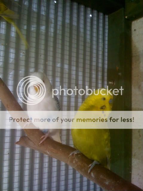 ourpics589-1.jpg?t=1259473187