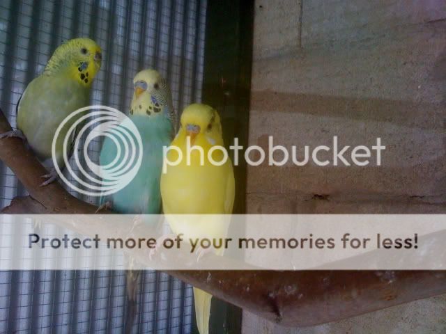 ourpics679-1.jpg?t=1259473301