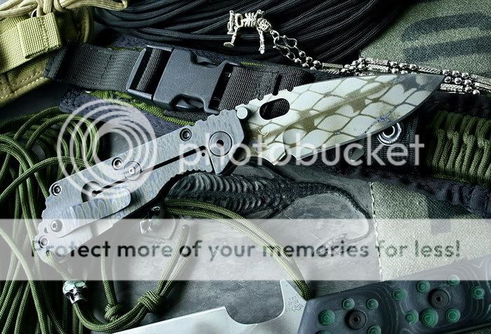 [Linked Image from i529.photobucket.com]