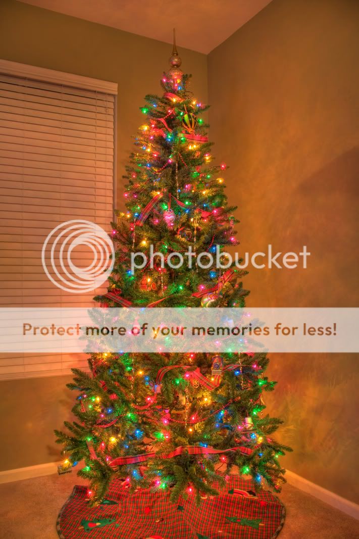 IMAGE: http://i529.photobucket.com/albums/dd337/cjs-photos/ChristmasTreeHDR2.jpg