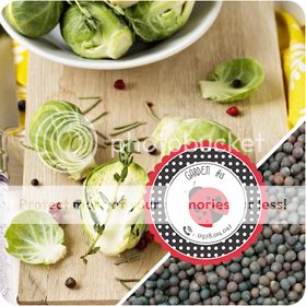 Cà Chua Đen, Cà Chua Beefsteak, Dưa Chuột Tí Hon, Cải Kale, Ớt Mexico...giống Mỹ 100%