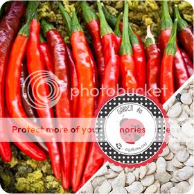 Cà Chua Đen, Cà Chua Beefsteak, Dưa Chuột Tí Hon, Cải Kale, Ớt Mexico...giống Mỹ 100% - 13