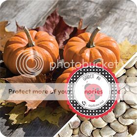 Cà Chua Đen, Cà Chua Beefsteak, Dưa Chuột Tí Hon, Cải Kale, Ớt Mexico...giống Mỹ 100% - 41