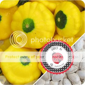 Cà Chua Đen, Cà Chua Beefsteak, Dưa Chuột Tí Hon, Cải Kale, Ớt Mexico...giống Mỹ 100% - 6