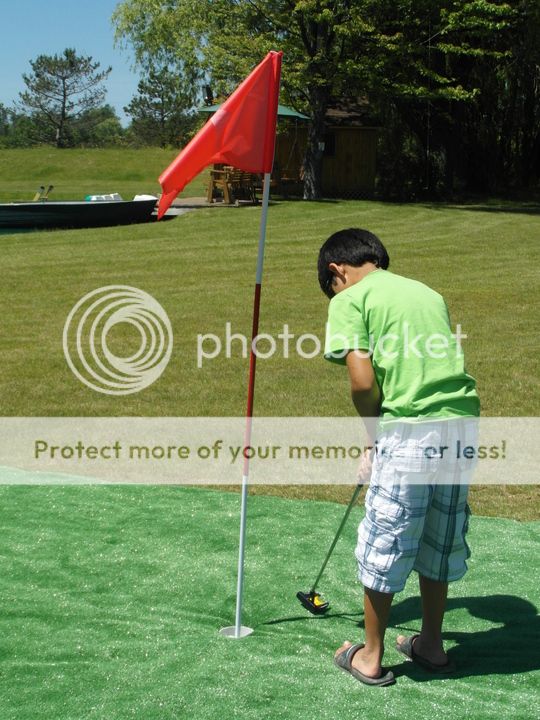 photo greencarpetC.jpg
